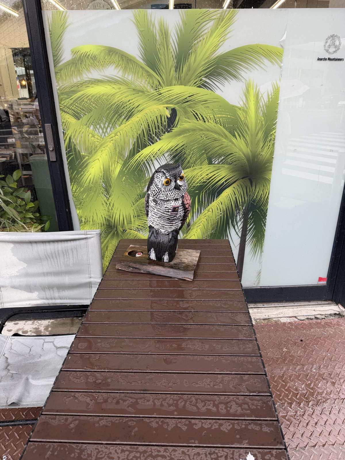三本杉陸橋の交差点にある床屋さんの店先で。スタッフの草野が通っているお店です。フクロウの置物と目が合いました