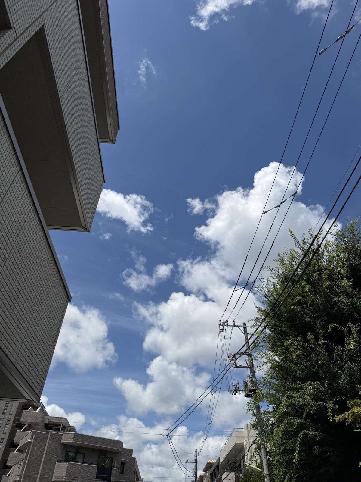 見上げると、まだ夏の雲。電線の向こうに青空が広がっていました
